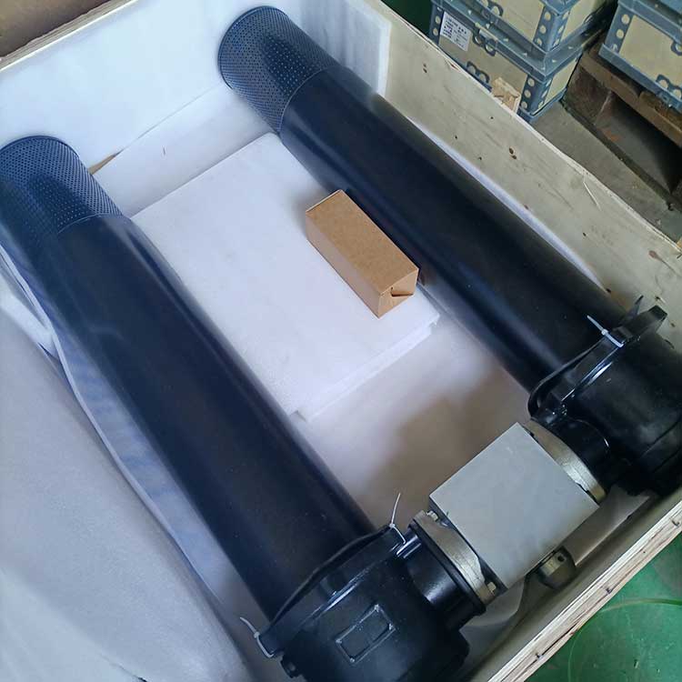 雙筒過(guò)濾器-(4)